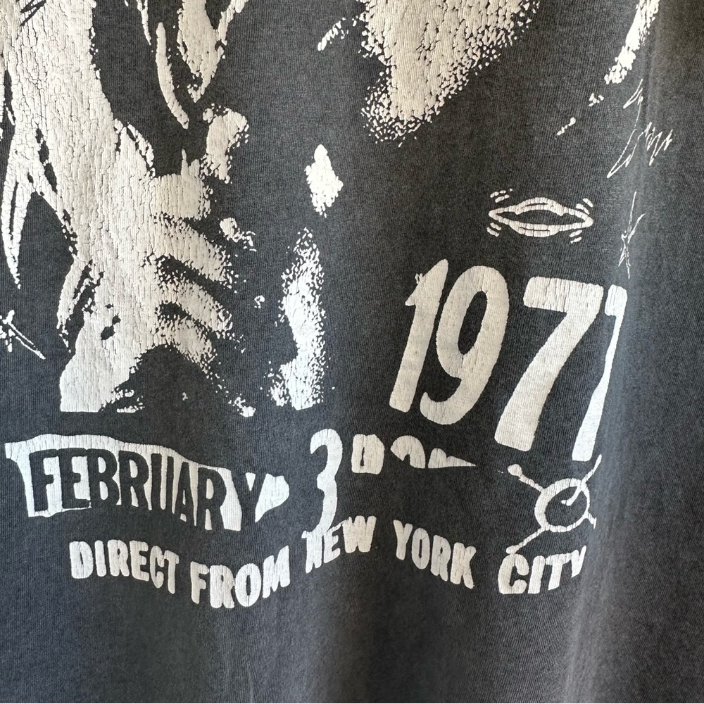 Blondie Distressed Los Angeles 1977 Graphic Tee. Size XS. Unisex - Picture 4 of 7